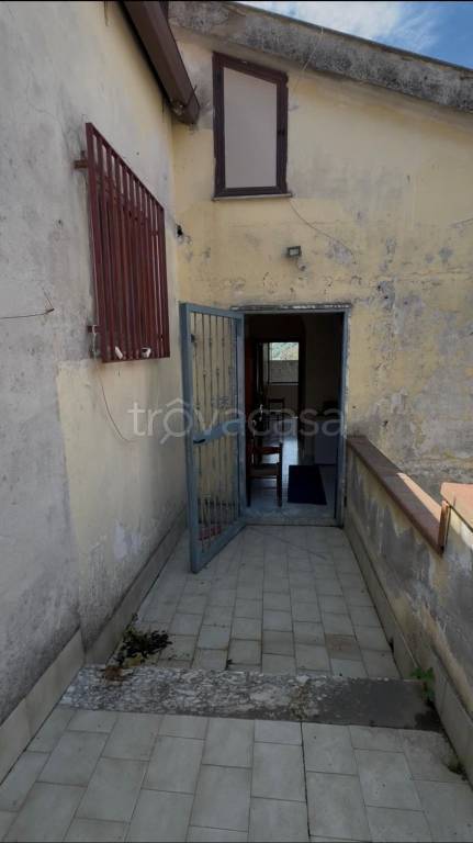 immagine annuncio 11 di 14