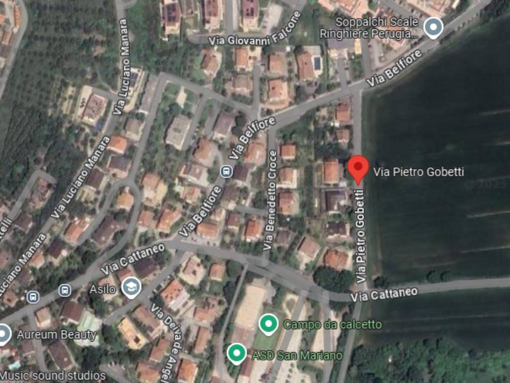 immagine annuncio 4 di 14