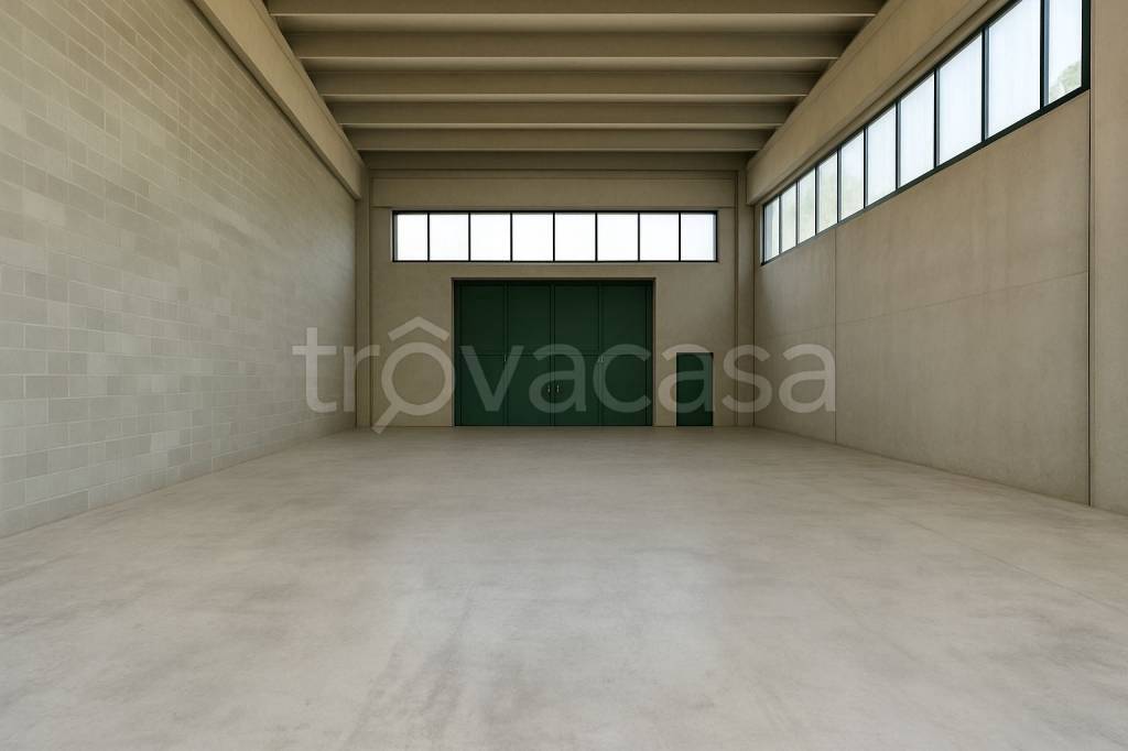 immagine annuncio 2 di 7
