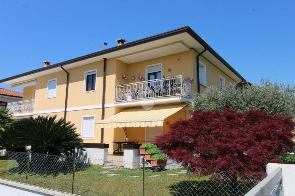 immagine annuncio 12 di 14