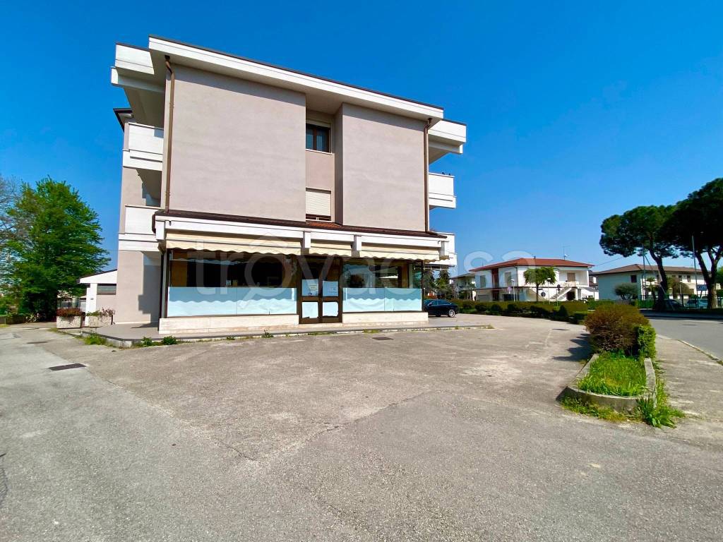 immagine annuncio 3 di 7