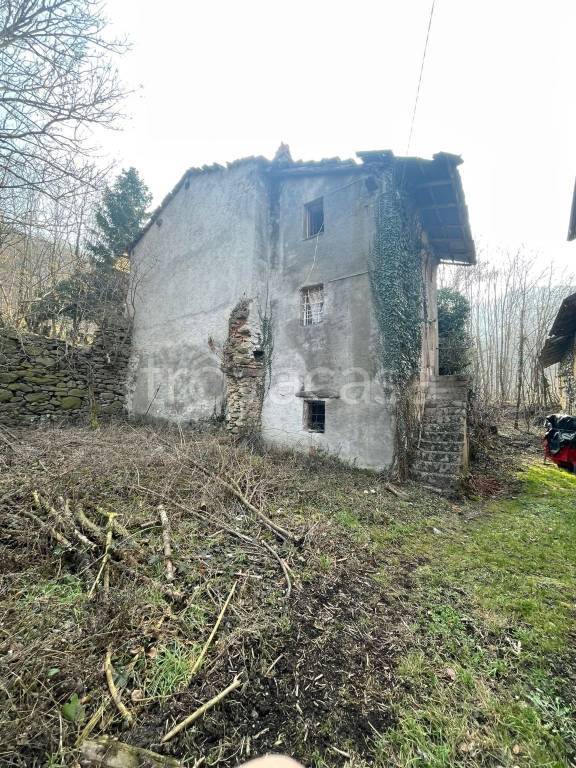 immagine annuncio 4 di 6