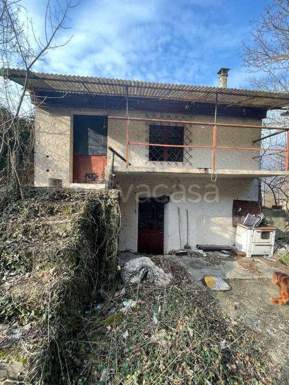 immagine annuncio 5 di 6