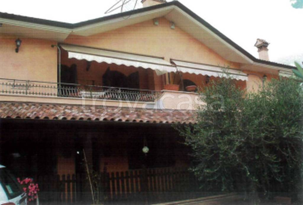 immagine annuncio 2 di 11