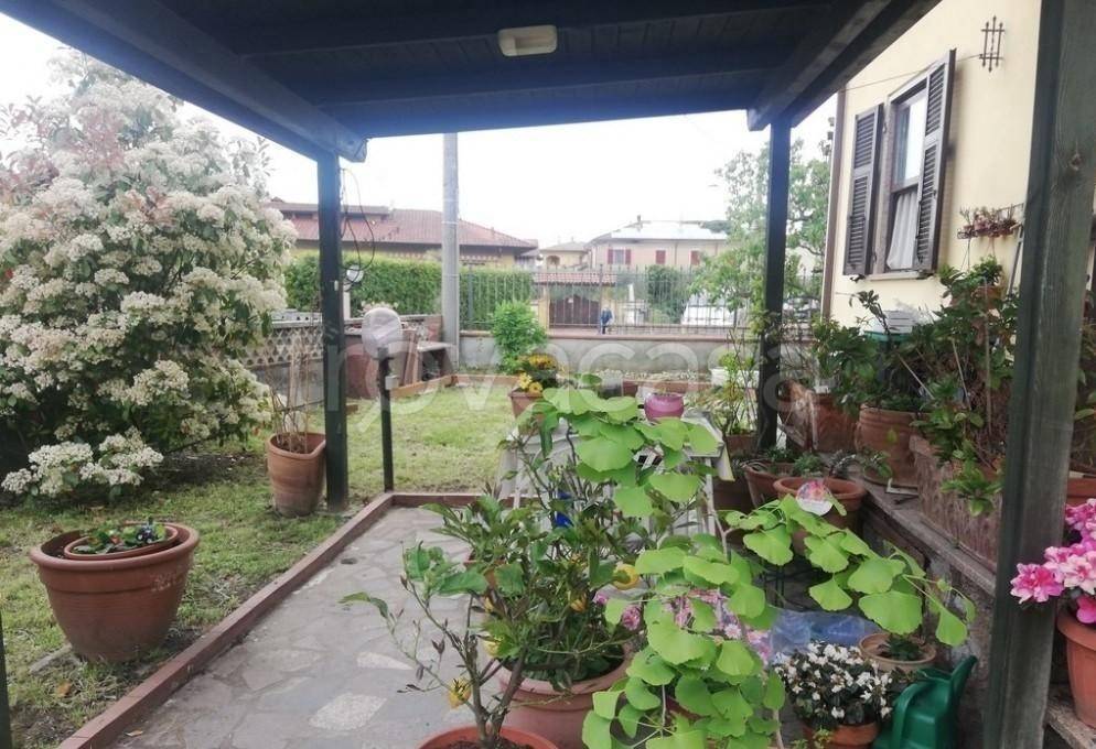 immagine annuncio 11 di 15