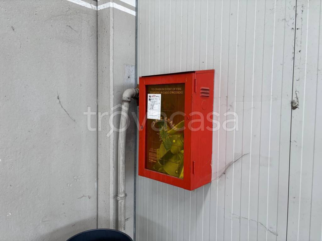 immagine annuncio 5 di 6