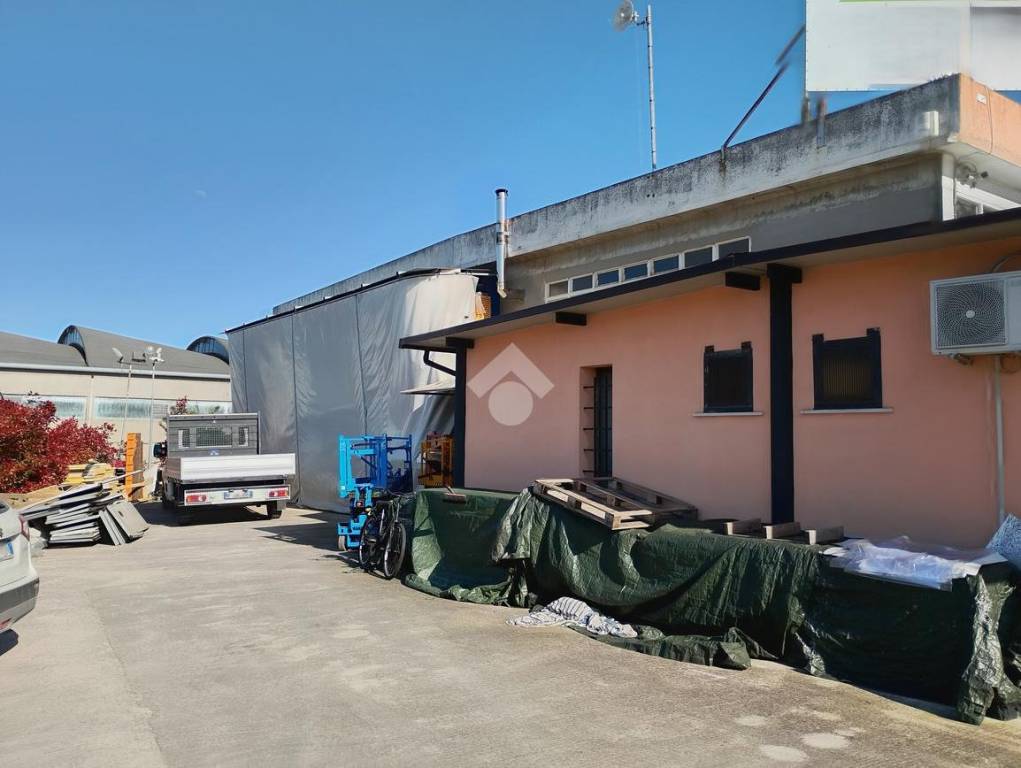 immagine annuncio 5 di 15