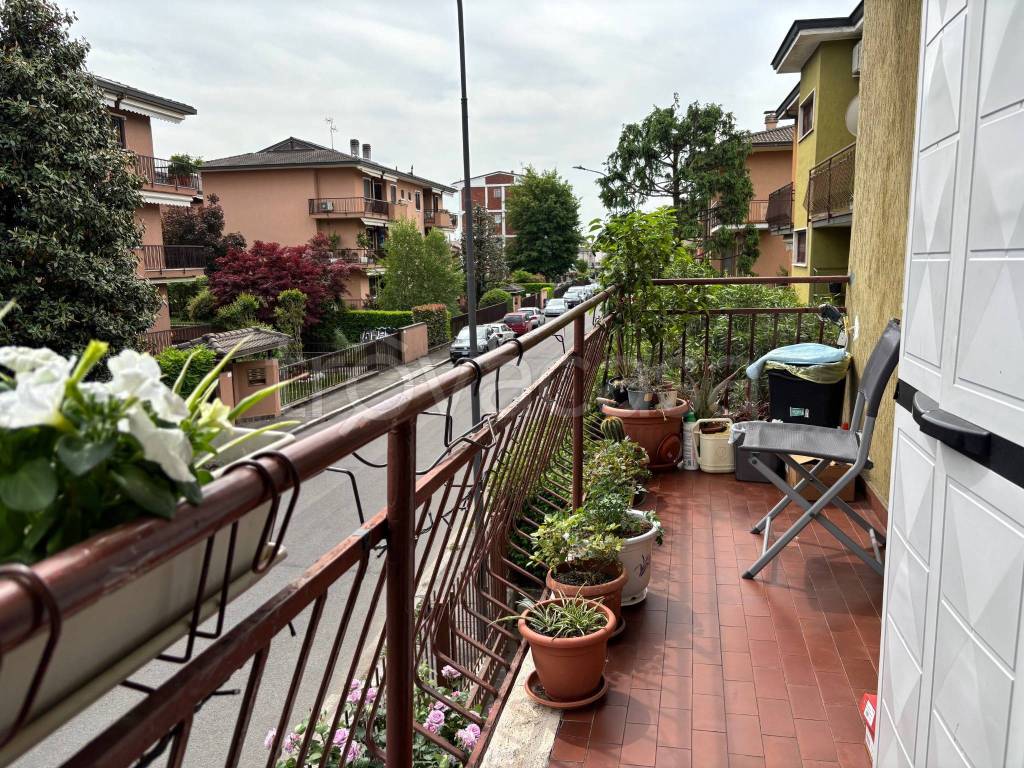 immagine annuncio 10 di 15