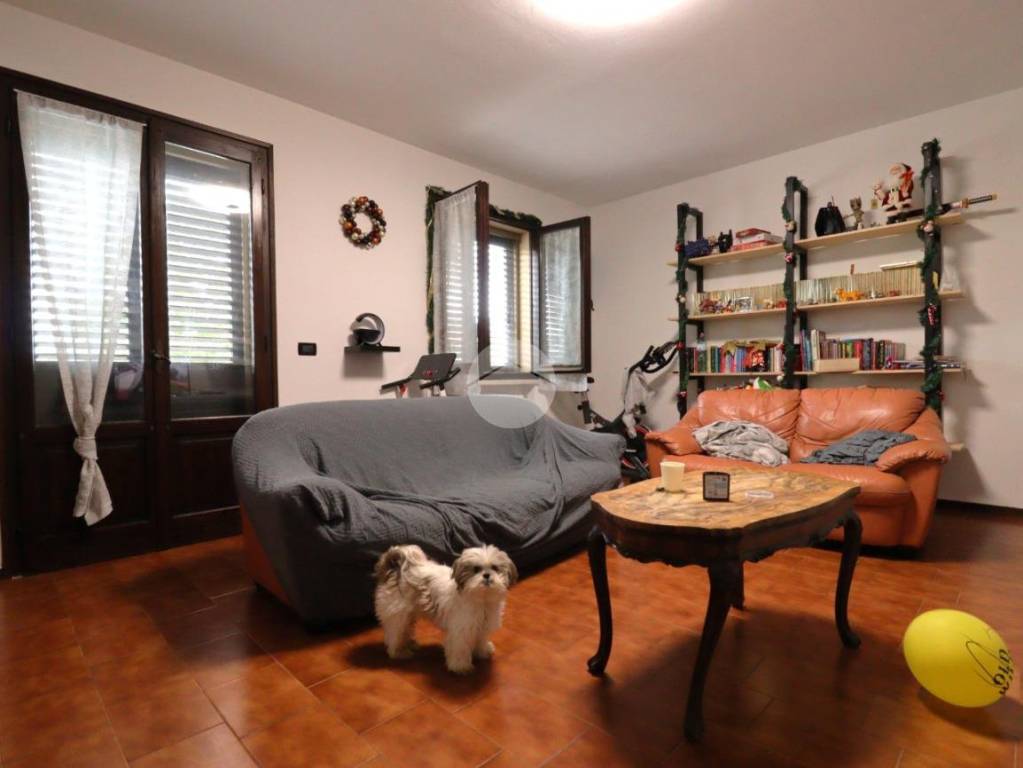 immagine annuncio 1 di 14