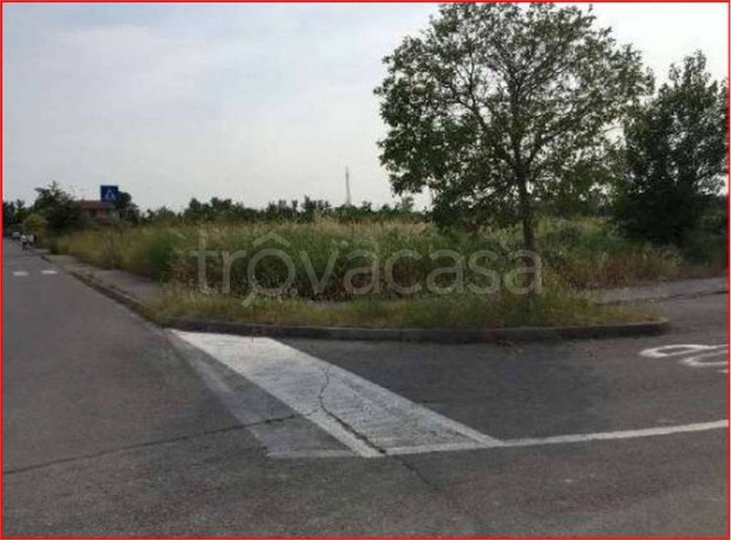 immagine annuncio 1 di 8