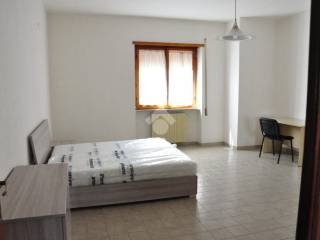 Appartamento in affitto a cassino via arigni