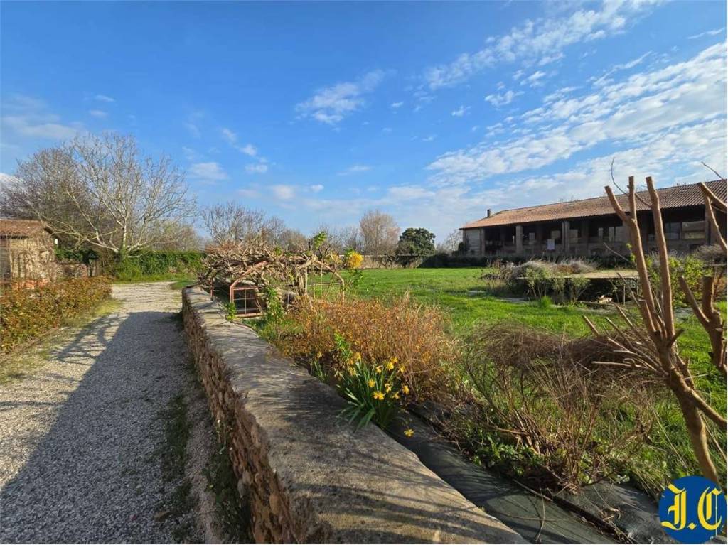 immagine annuncio 9 di 11