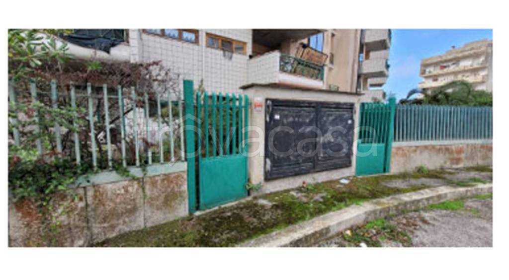 immagine annuncio 1 di 14