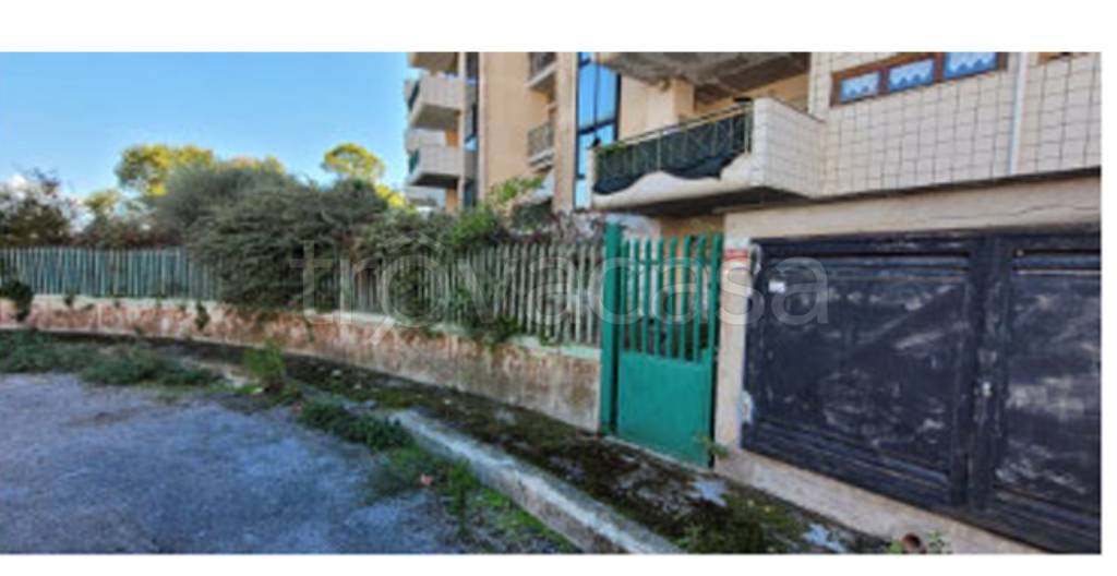 immagine annuncio 3 di 14