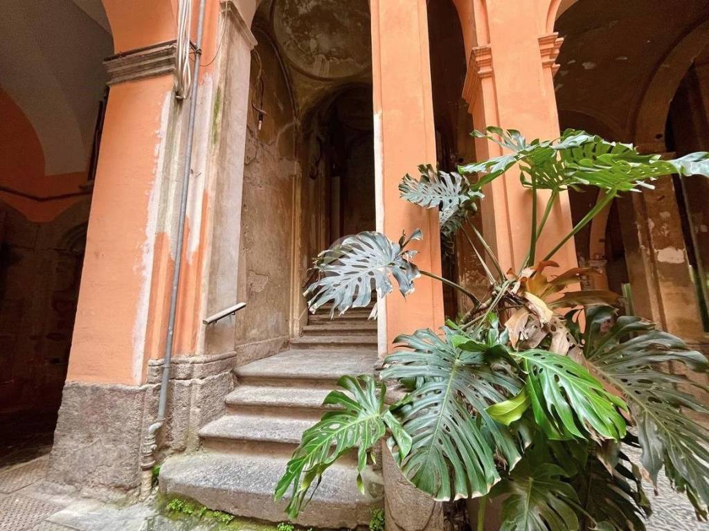 immagine annuncio 6 di 13