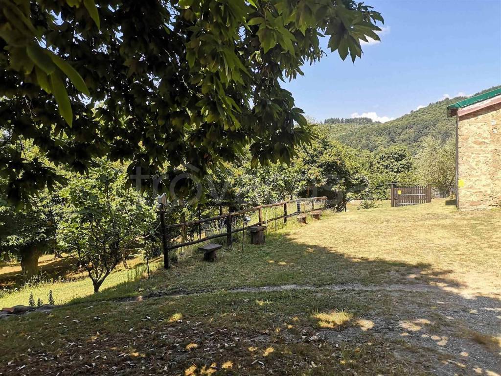 immagine annuncio 9 di 13