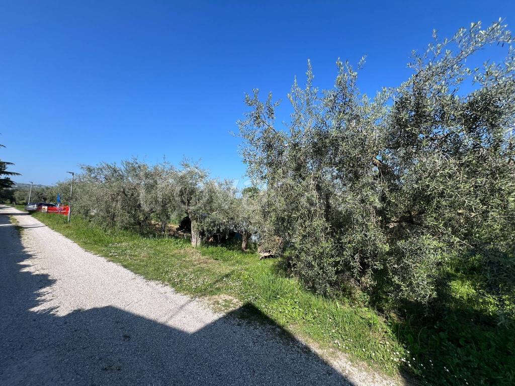 immagine annuncio 8 di 15