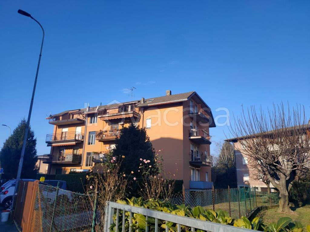 immagine annuncio 3 di 11