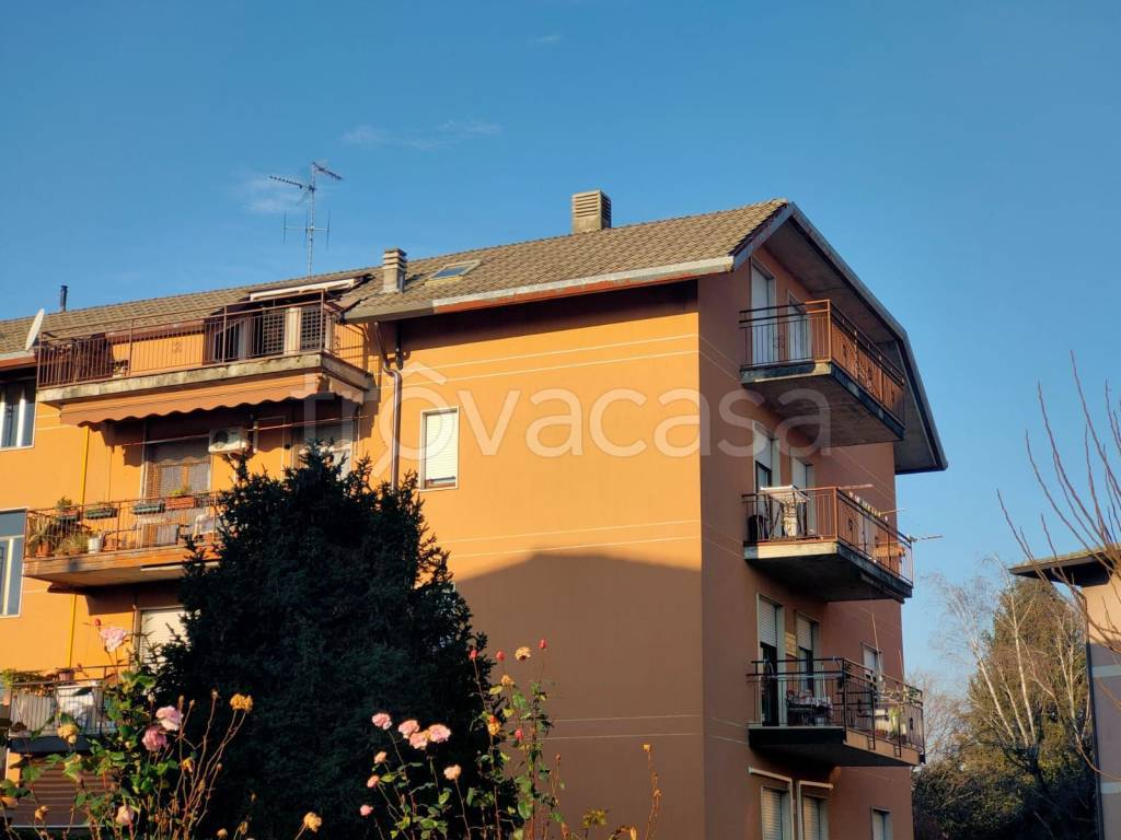 immagine annuncio 4 di 11