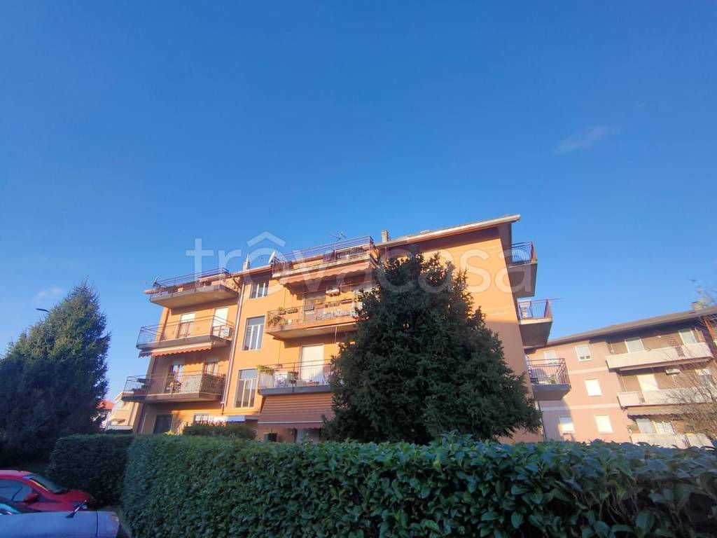 immagine annuncio 2 di 11