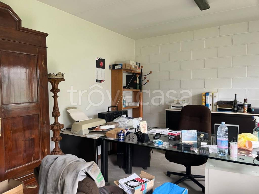 immagine annuncio 4 di 8