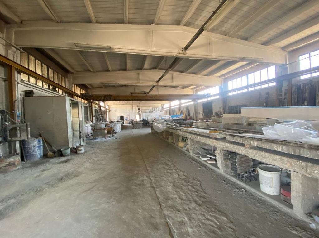 immagine annuncio 6 di 14