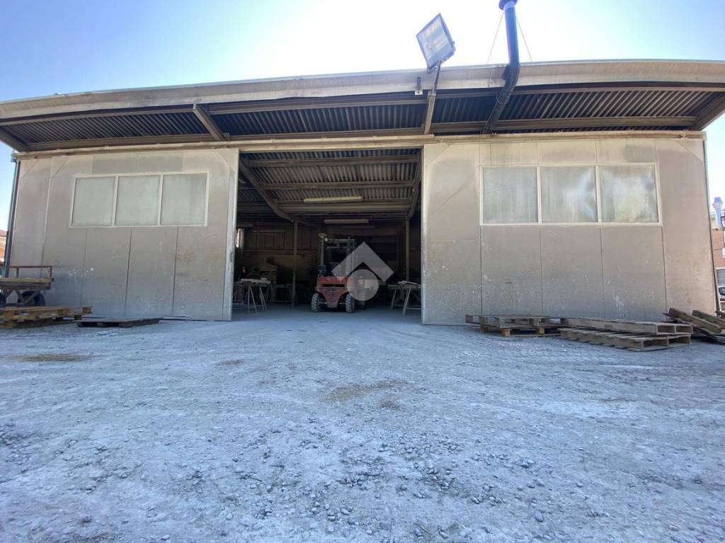 immagine annuncio 8 di 14