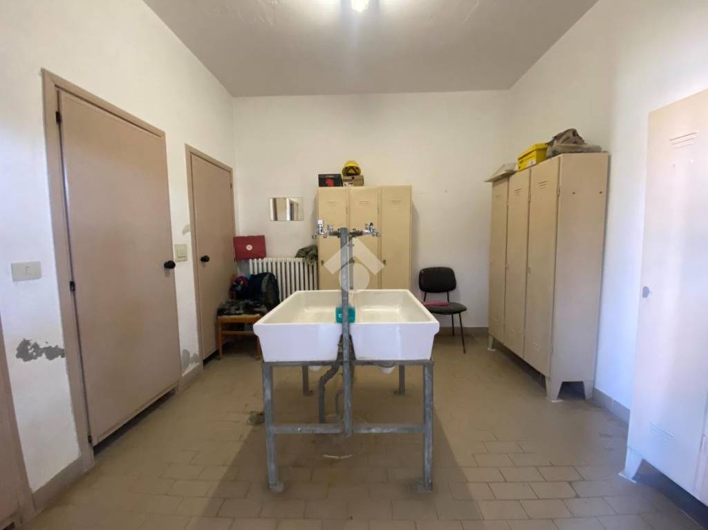 immagine annuncio 9 di 14