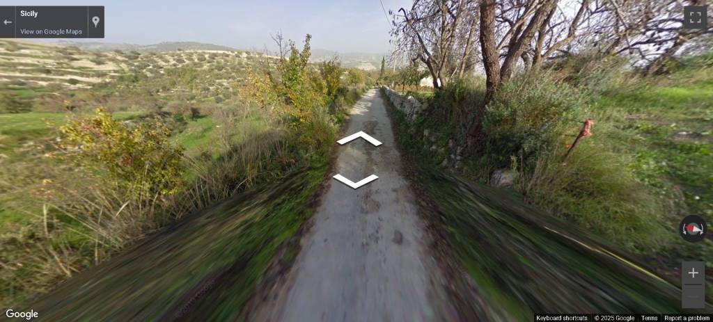 immagine annuncio 4 di 14