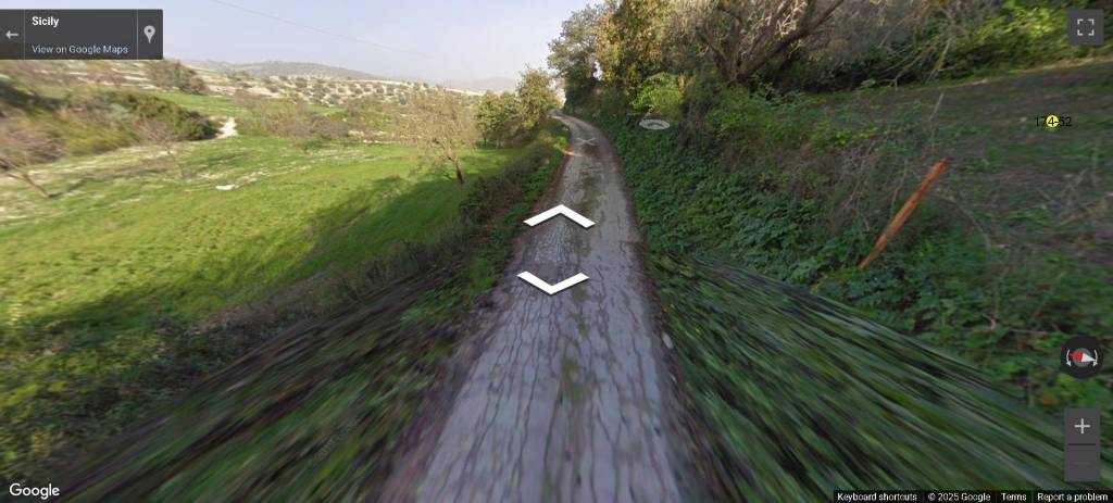 immagine annuncio 7 di 14