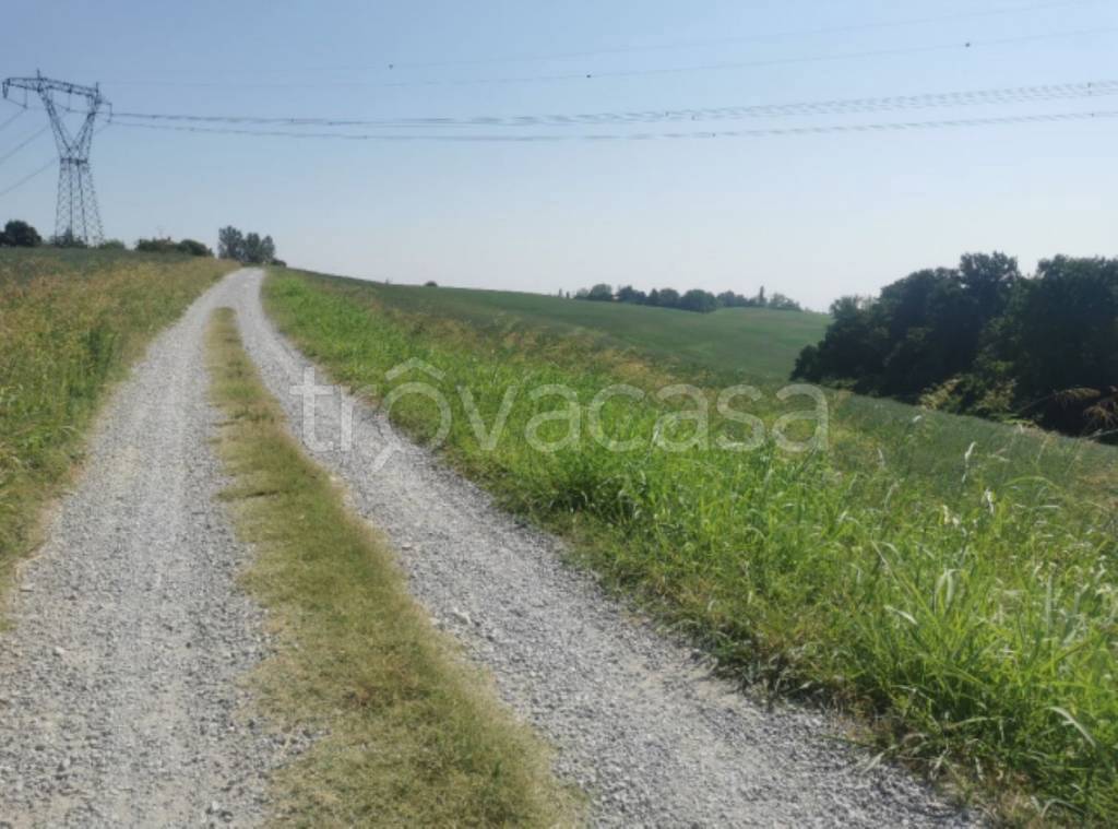 immagine annuncio 4 di 11