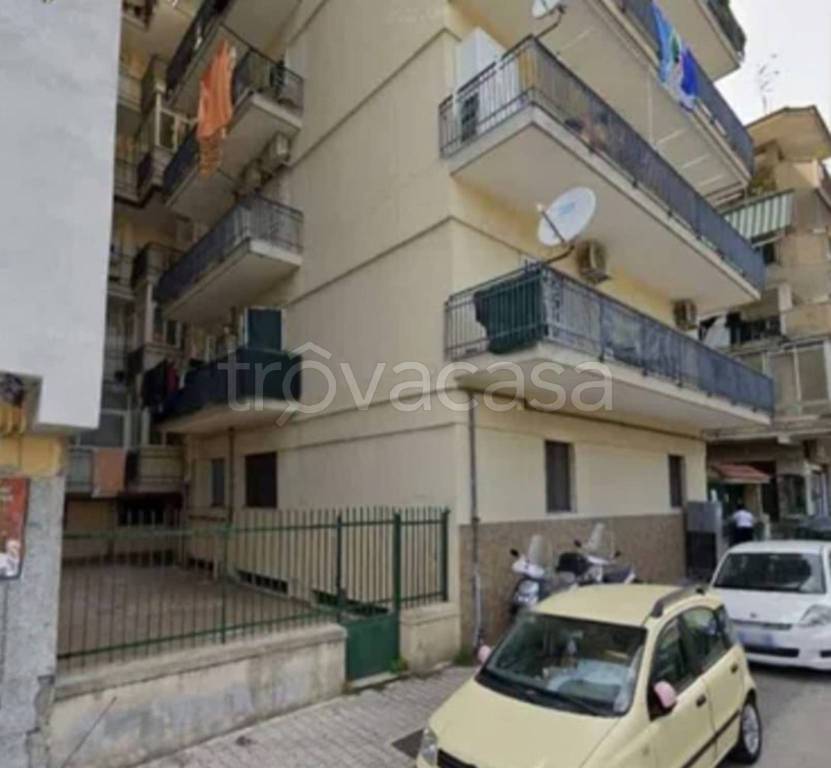 immagine annuncio 11 di 14
