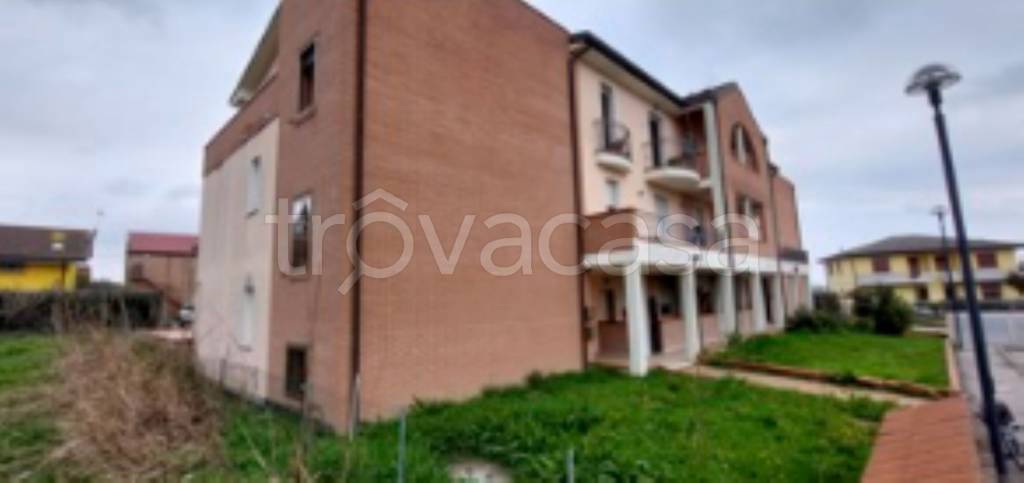 immagine annuncio 5 di 11