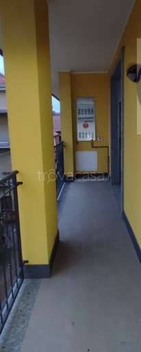immagine annuncio 2 di 11