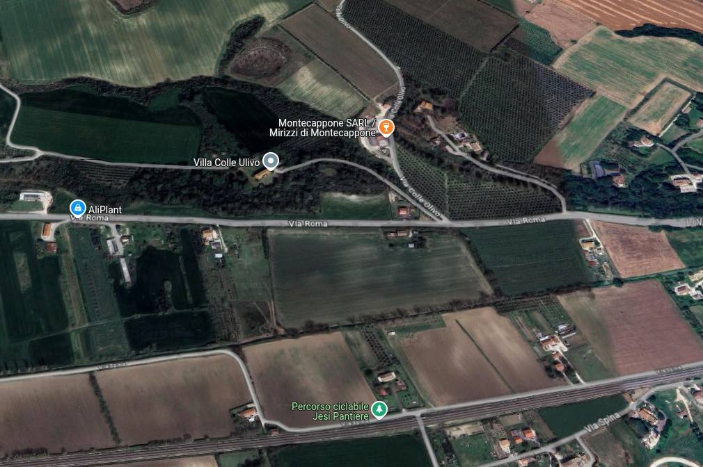 immagine annuncio 2 di 15