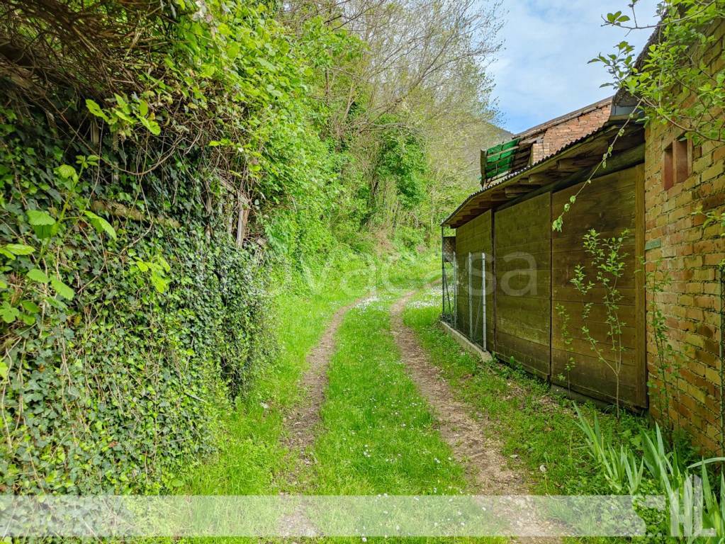 immagine annuncio 6 di 7