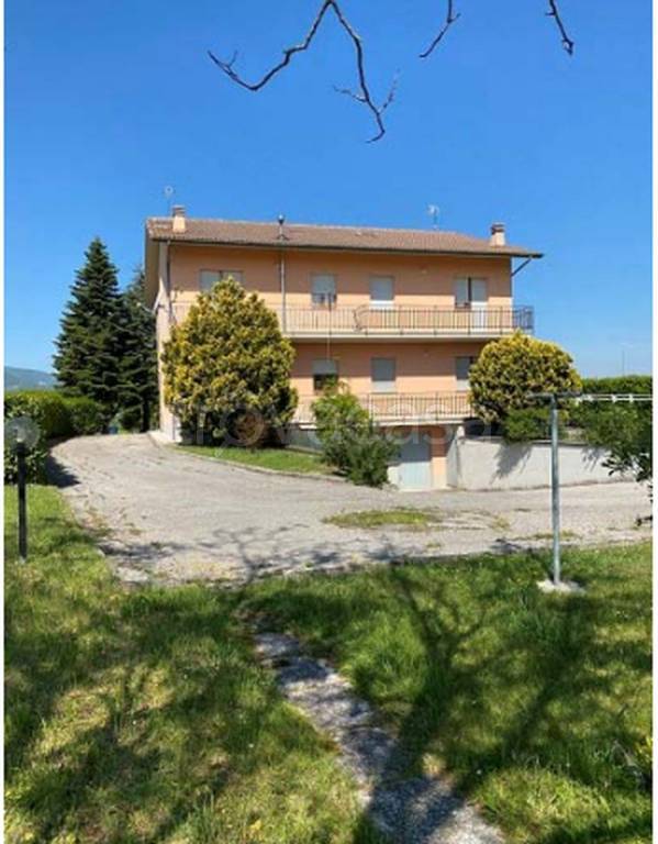 immagine annuncio 4 di 12