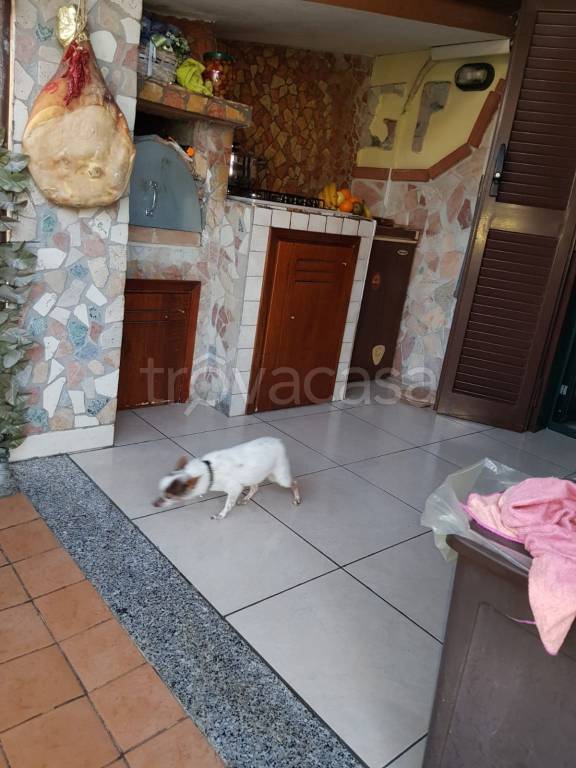 immagine annuncio 1 di 14