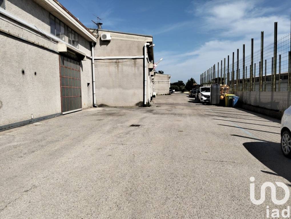 immagine annuncio 3 di 12