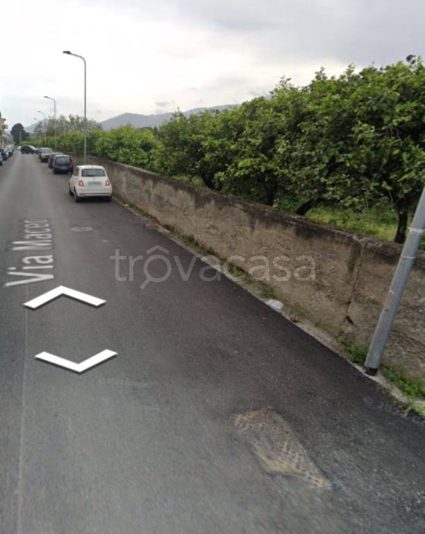 immagine annuncio 6 di 11