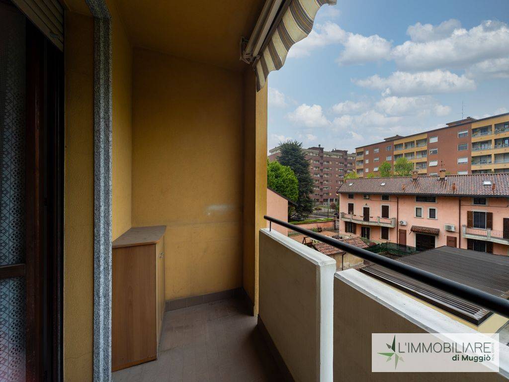immagine annuncio 2 di 15