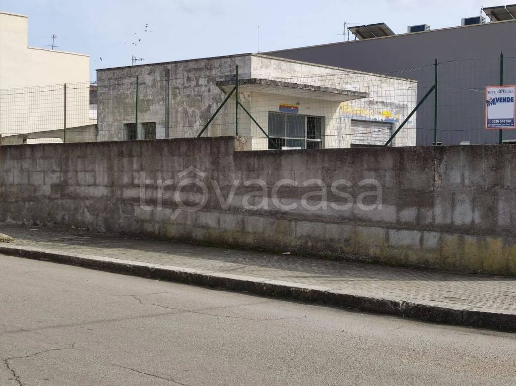 immagine annuncio 5 di 6