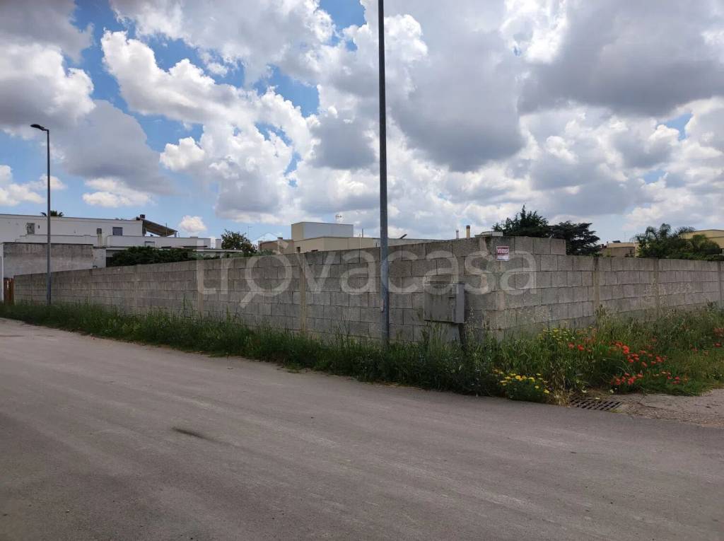 immagine annuncio 2 di 4