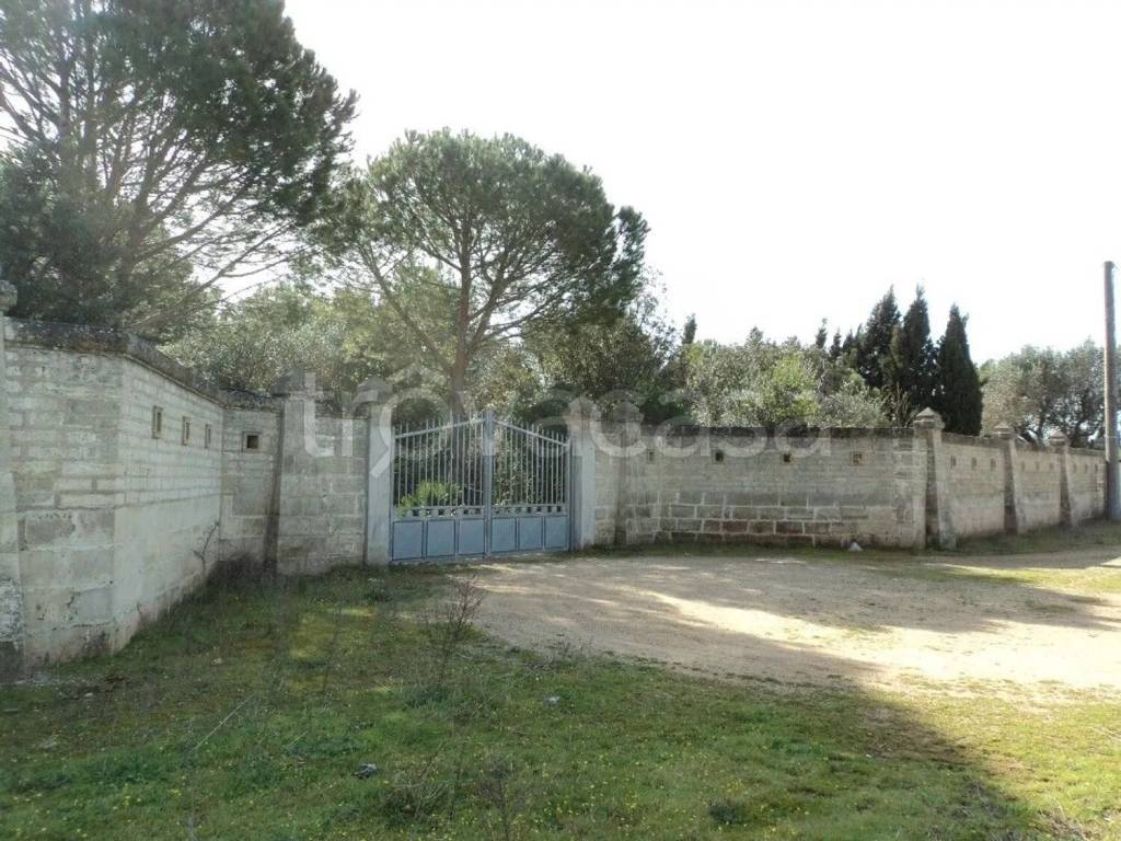 immagine annuncio 2 di 14