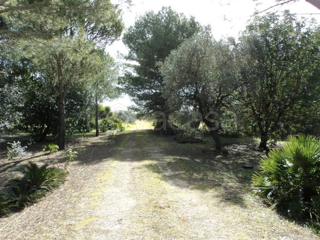 immagine annuncio 3 di 14