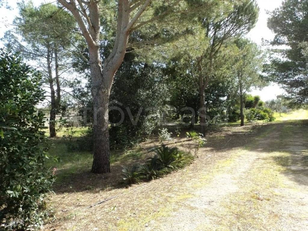 immagine annuncio 4 di 14