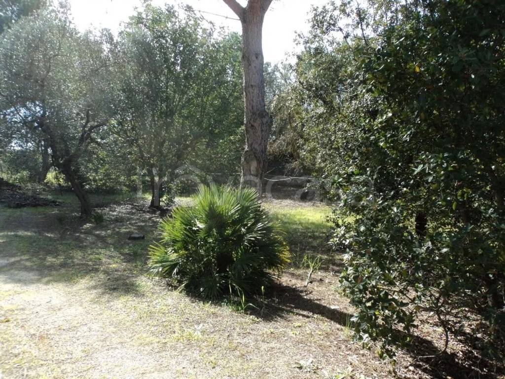 immagine annuncio 5 di 14
