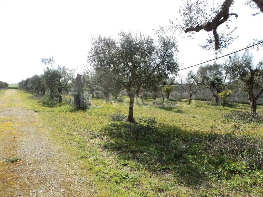 immagine annuncio 10 di 14