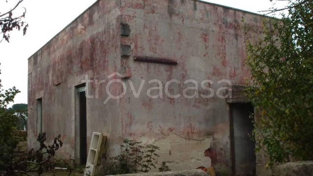 immagine annuncio 9 di 14