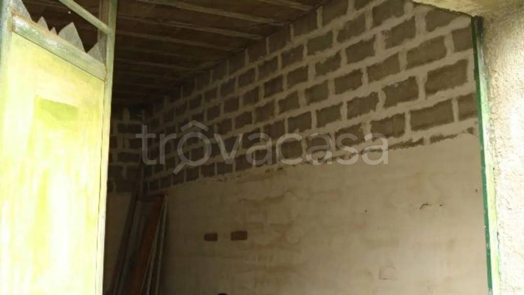 immagine annuncio 10 di 14